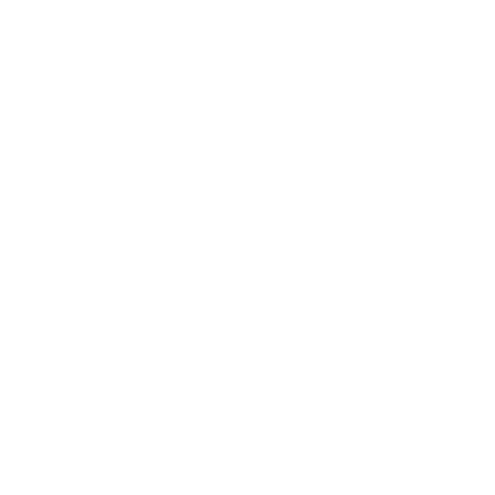 WordPress Hosting